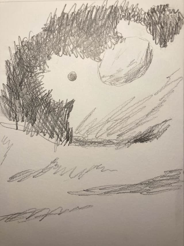 Big Penguin Sketchbook Drawing