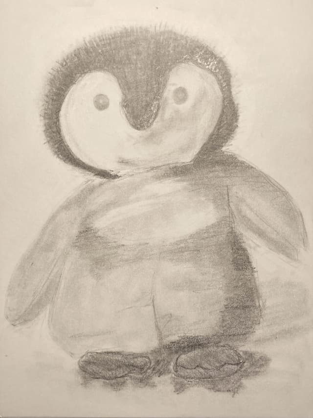 Little Penguin Sketchbook Drawing