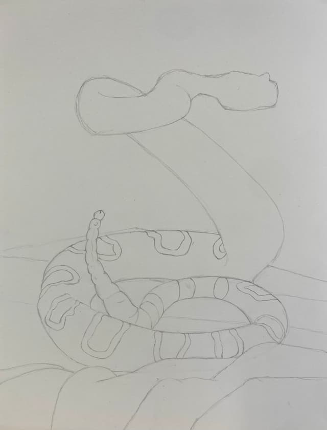 Snake Still Life Drawing Unfinished