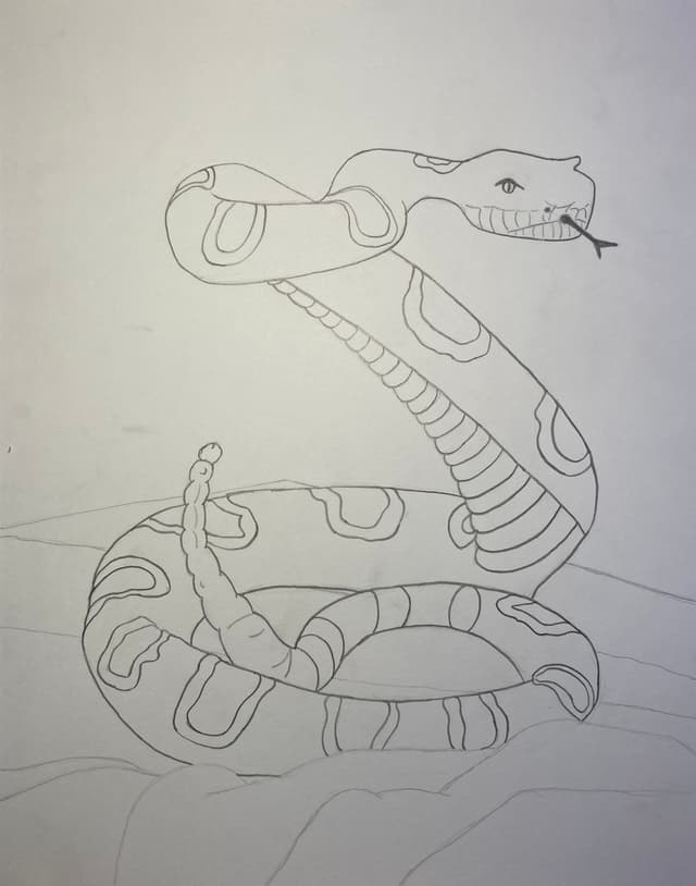 Snake Still Life Drawing